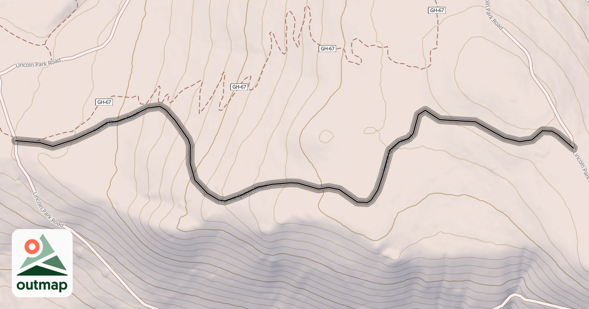 Map of Forest Queen Road