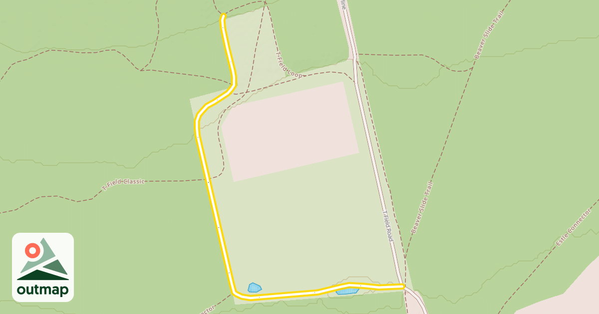 Map of T-Field Loop