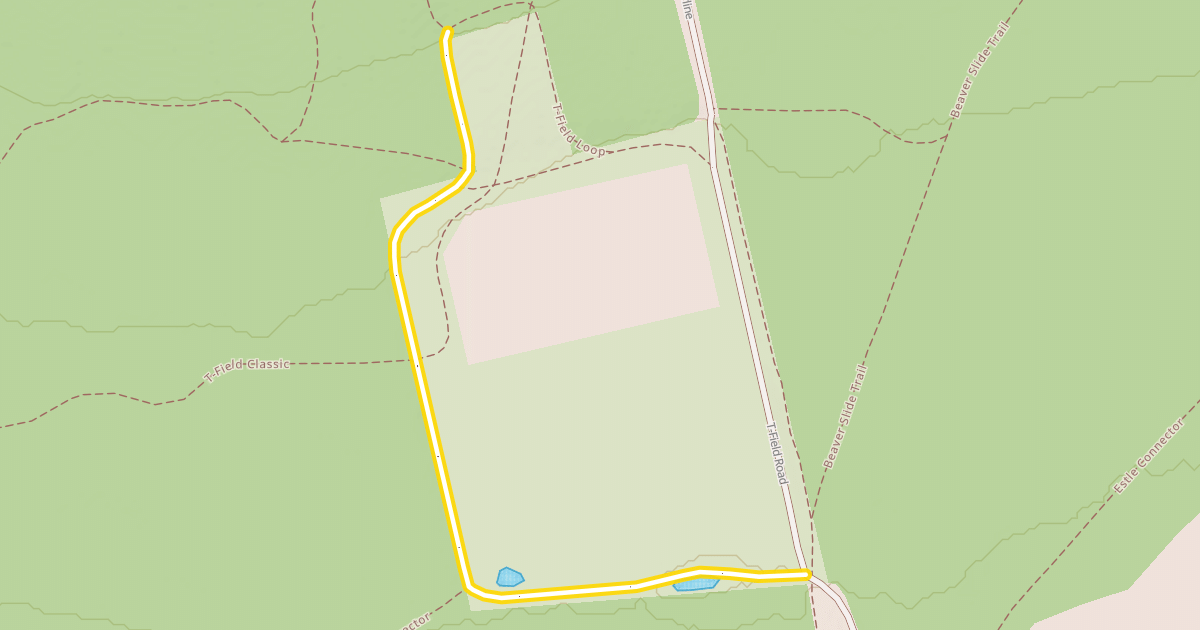 Map preview of T-Field Loop