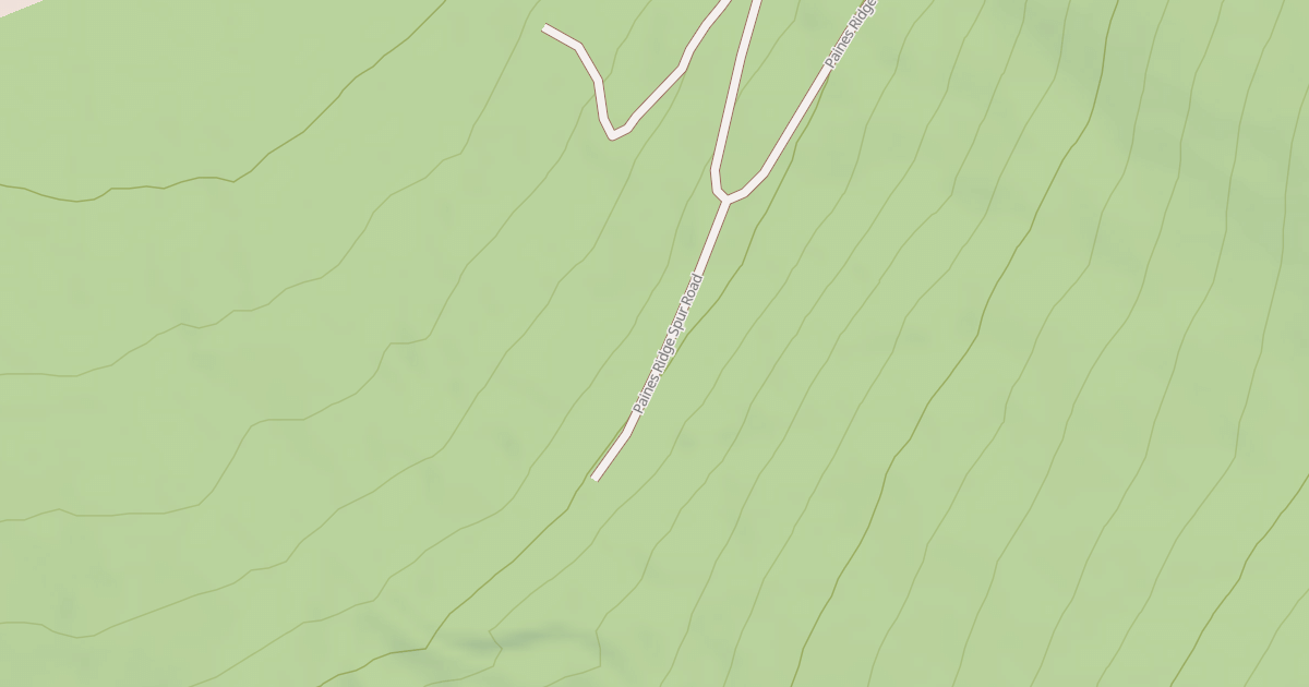 Map preview of PAINES RIDGE SPUR
