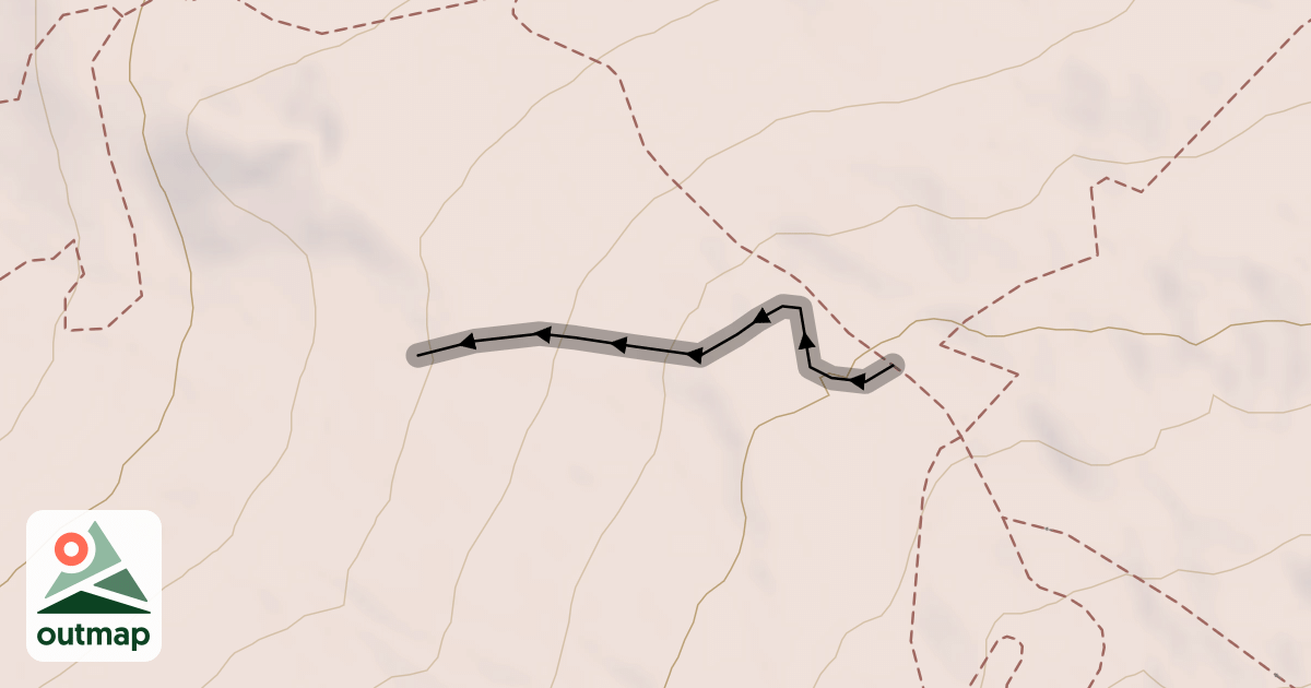 Map of Shizzle