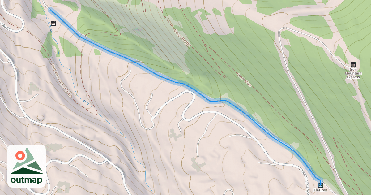 Map of White Pine