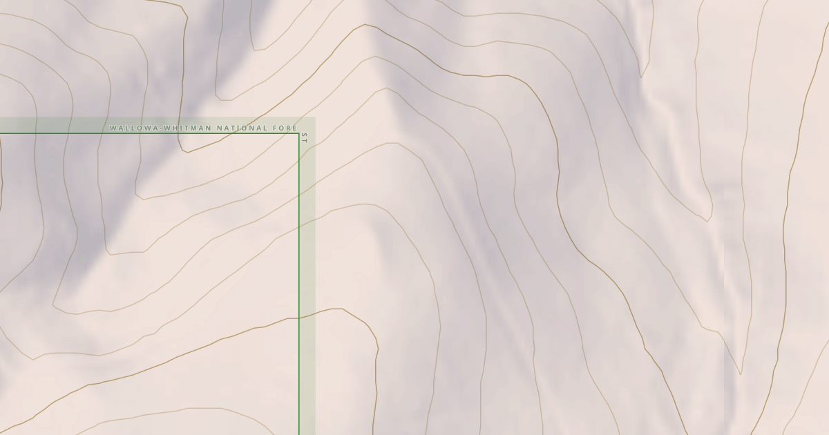 Map preview of USFS National Forest System Roads {129B572F-DCD2-4998-8379-E68842C0EE03}