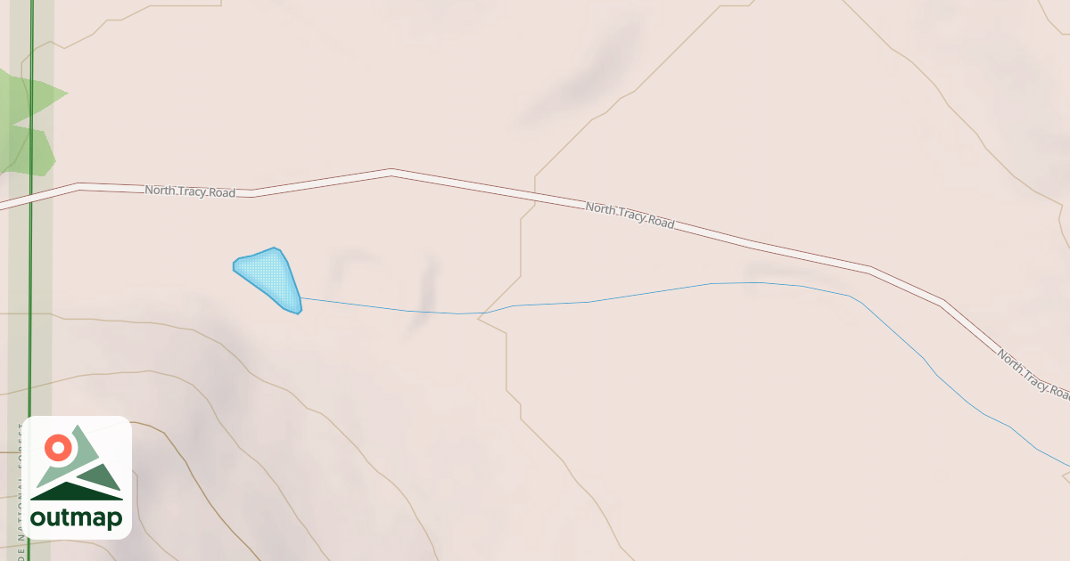 Map of BLM National GTLF Public Motorized Roads 31847063-b4dd-4e26-a560-972e1044f85f