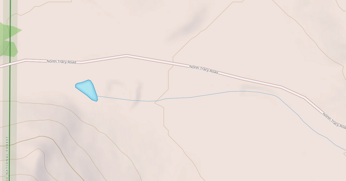 Map preview of BLM National GTLF Public Motorized Roads 31847063-b4dd-4e26-a560-972e1044f85f