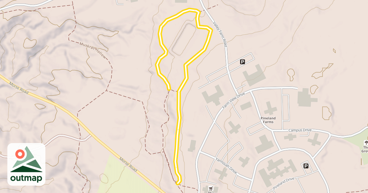 Map of Access Loop