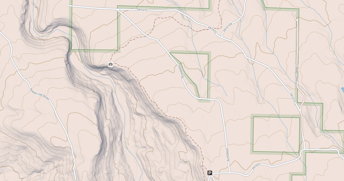 Map preview of USFS Motor Vehicle Use Map Roads {88AA7BA6-FB8B-4814-A50D-DA81FDED42FA}