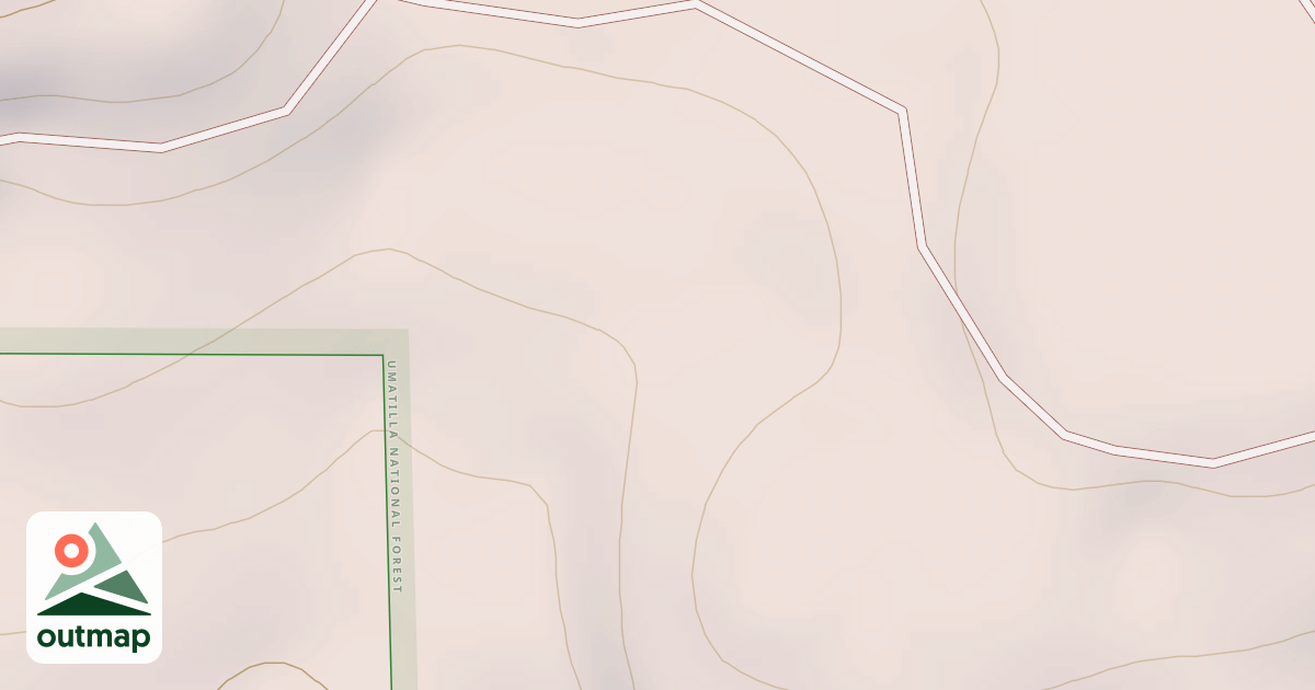 Map of USFS National Forest System Roads {56CE4DBA-5B90-4E8D-A6A0-8C6CC5A0F124}