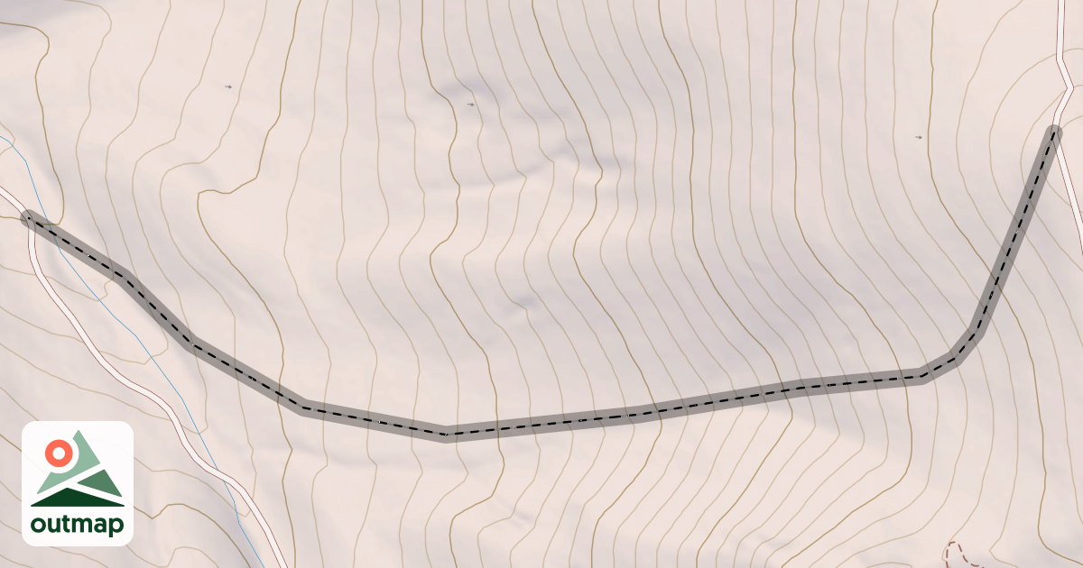 Map of Flow