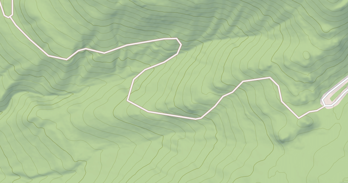 Map preview of USFS Motor Vehicle Use Map Roads {202E8ECD-5BF7-4BF5-B659-0A539700D038}