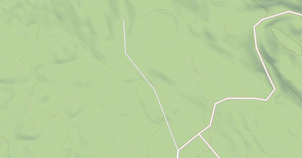 Map preview of USFS Motor Vehicle Use Map Roads {173CA48E-4583-4078-A938-2AE502948D46}
