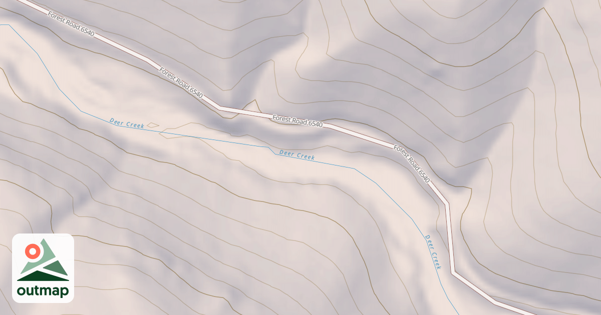 Map of USFS National Forest System Roads {38B6C8F2-5B44-4029-9884-0BD27EE8E6AA}