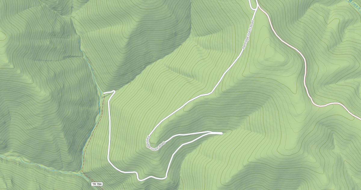 Map preview of PARTRIDGE GULCH