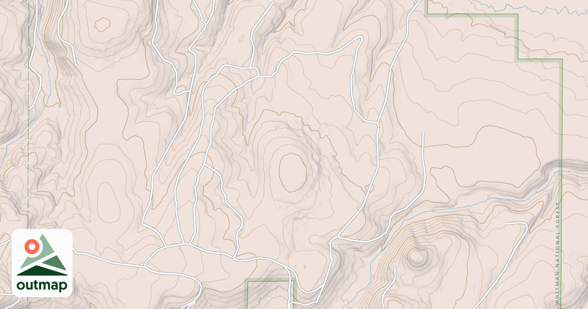 Map of USFS National Forest System Roads {6ACCD163-F145-4557-A00D-27E7563A4088}