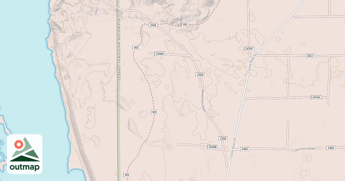 Map of MASTERMICH