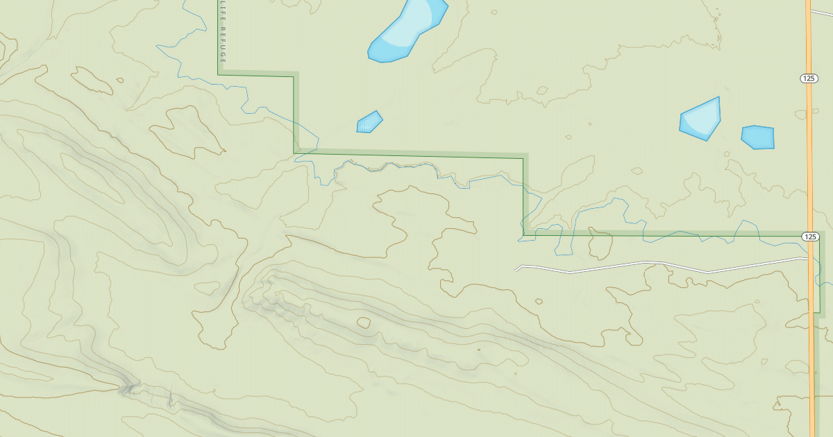 Map preview of BLM National GTLF Public Motorized Roads 4b8dee19-63cc-441a-8903-e05c8b4d793d