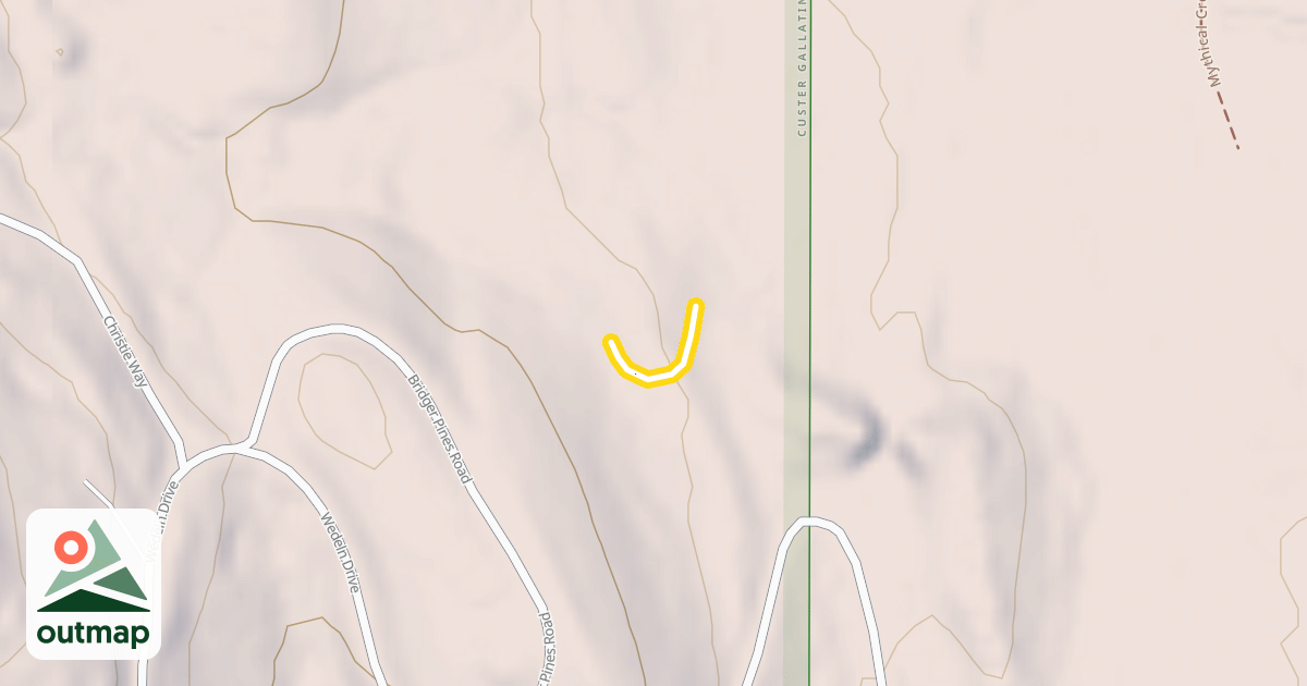 Map of Dr Scholl's Size 10