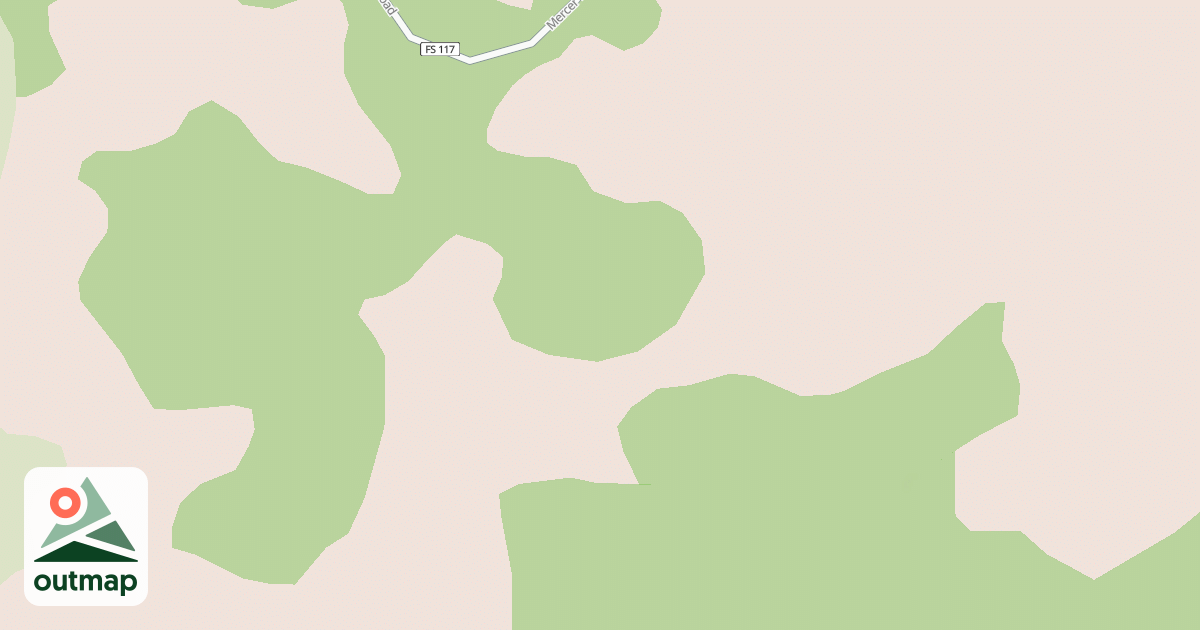 Map of USFS National Forest System Roads {15728FAC-B3B3-4326-9AFE-F6ABD4EA872D}