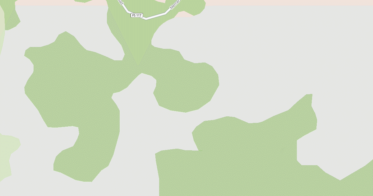 Map preview of USFS National Forest System Roads {15728FAC-B3B3-4326-9AFE-F6ABD4EA872D}