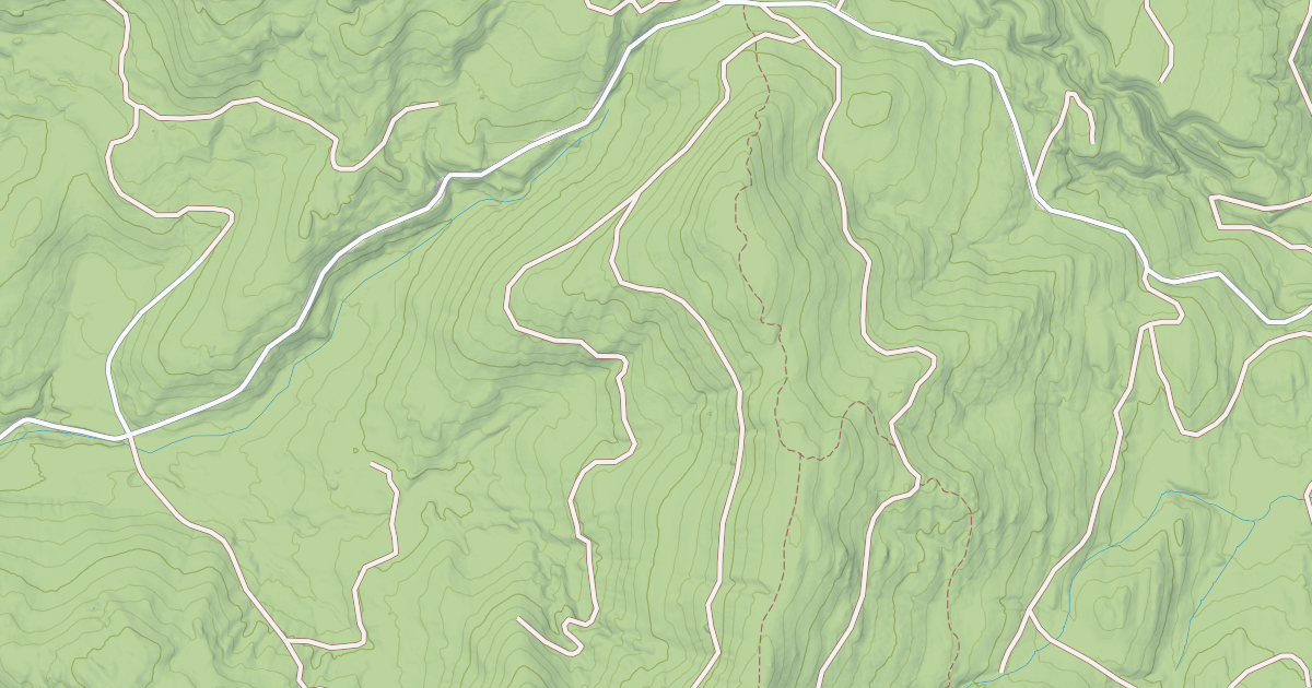 Map preview of USFS Motor Vehicle Use Map Roads {1E5D4BD5-0209-42BC-B9D9-444CBAB72B57}