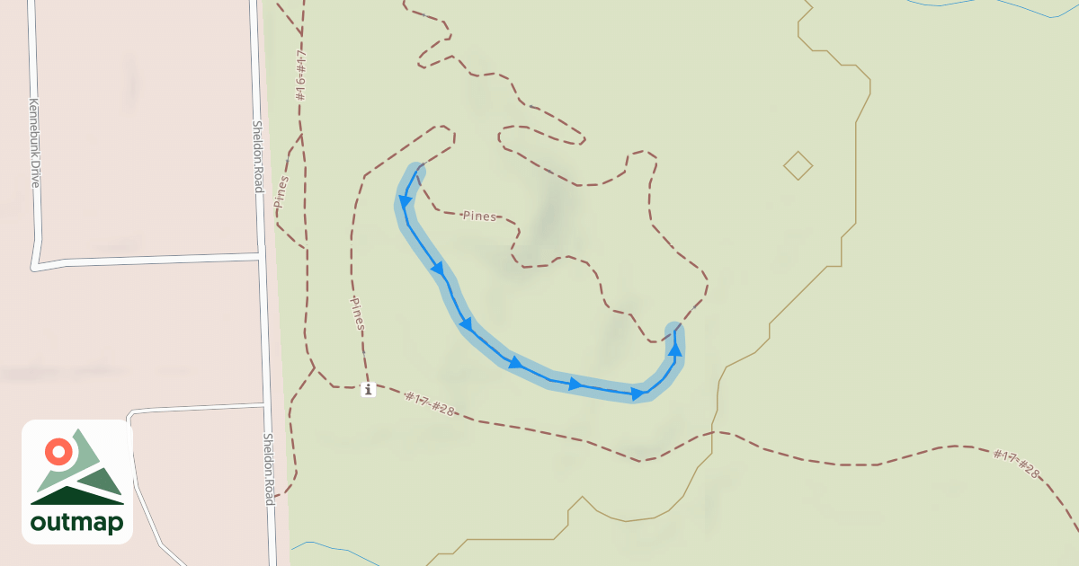 Map of Pines (Jump Line)