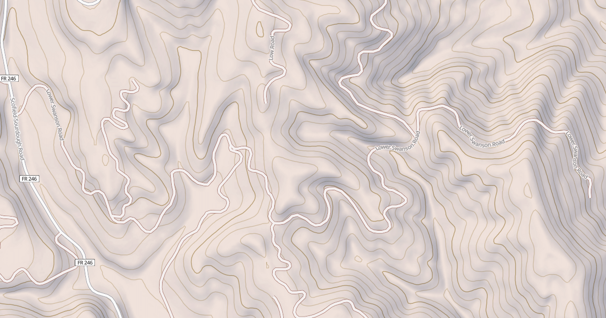 Map preview of LOWER SWANSON