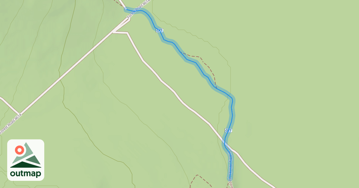 Map of Tiddly Winks (Upper)