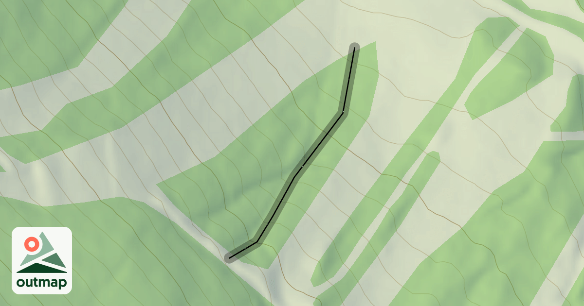 Map of Whiskey Towne