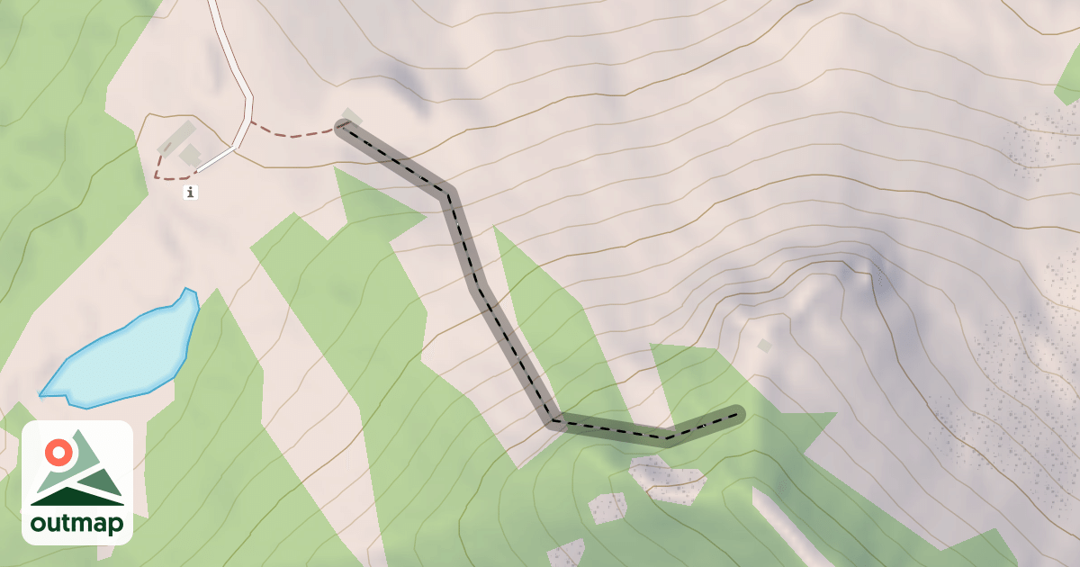 Map of Nancy Chute