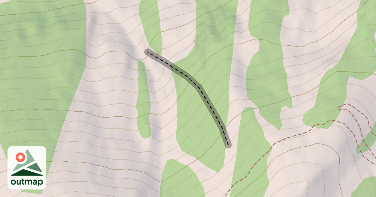 Map of Timber Glades