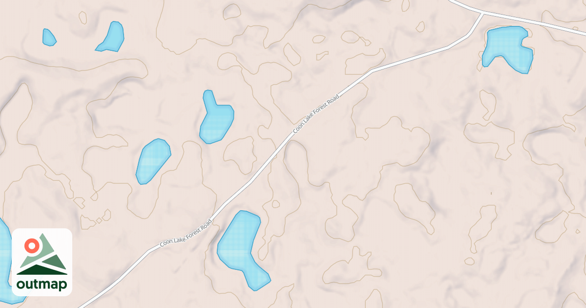 Map of Forest Riders Trails