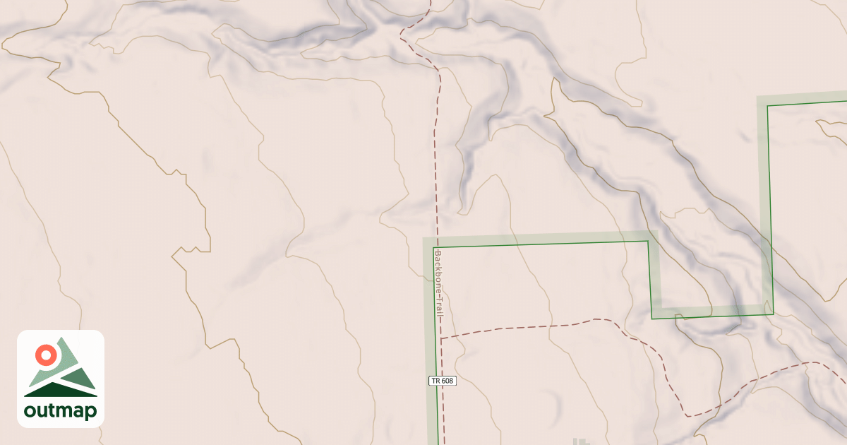 Map of Backbone
