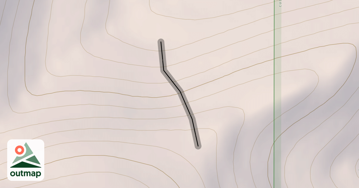 Map of Face of M