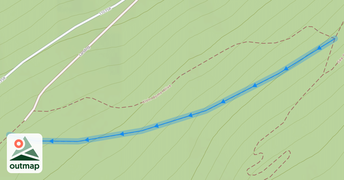 Map of Boneyard