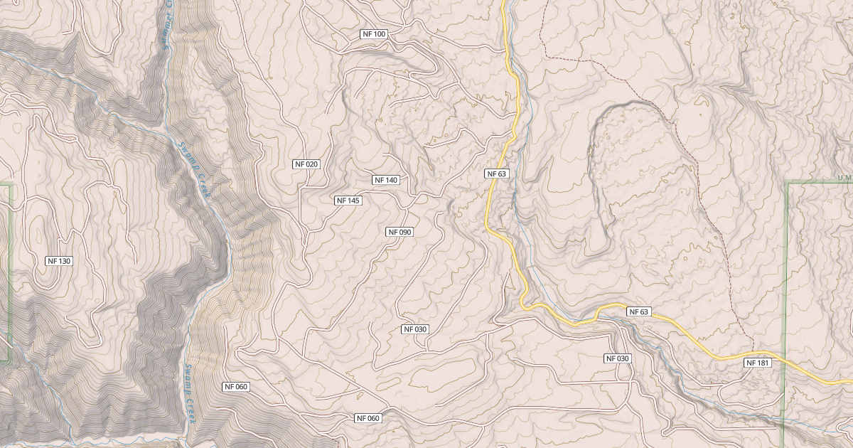 Map preview of USFS National Forest System Roads {54D17A36-5F8E-4CE8-98F1-805539CF9432}