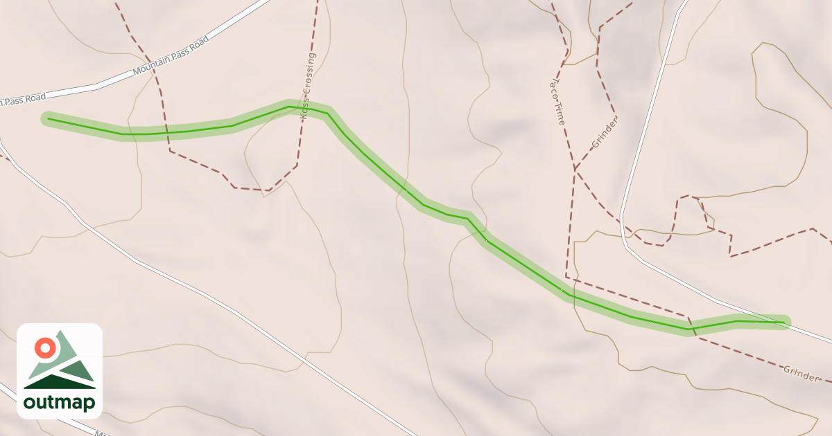 Map of In the Woods