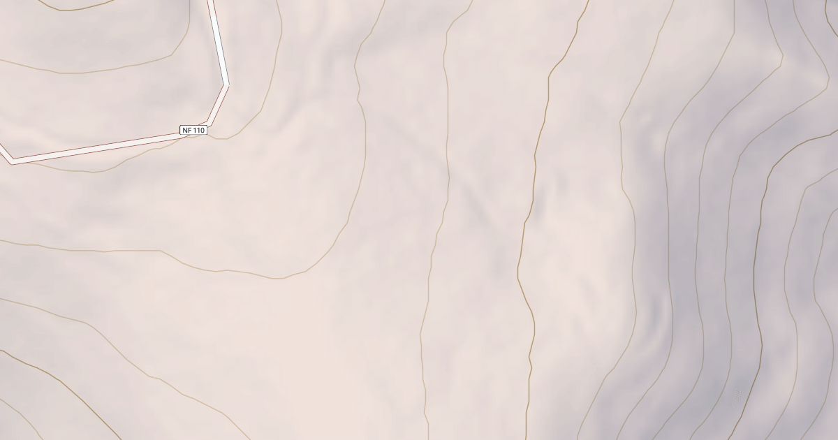 Map preview of USFS Motor Vehicle Use Map Trails 18229