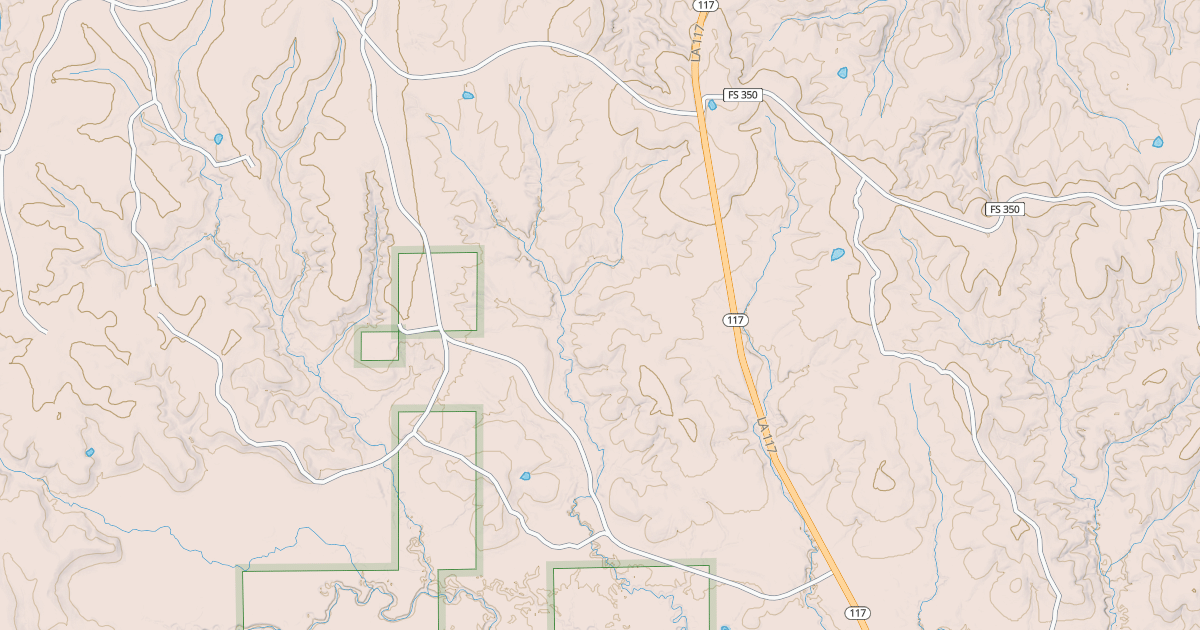 Map preview of MIKE BRANCH