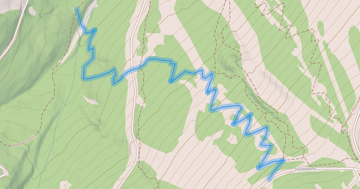 Map preview of Thimbleberry