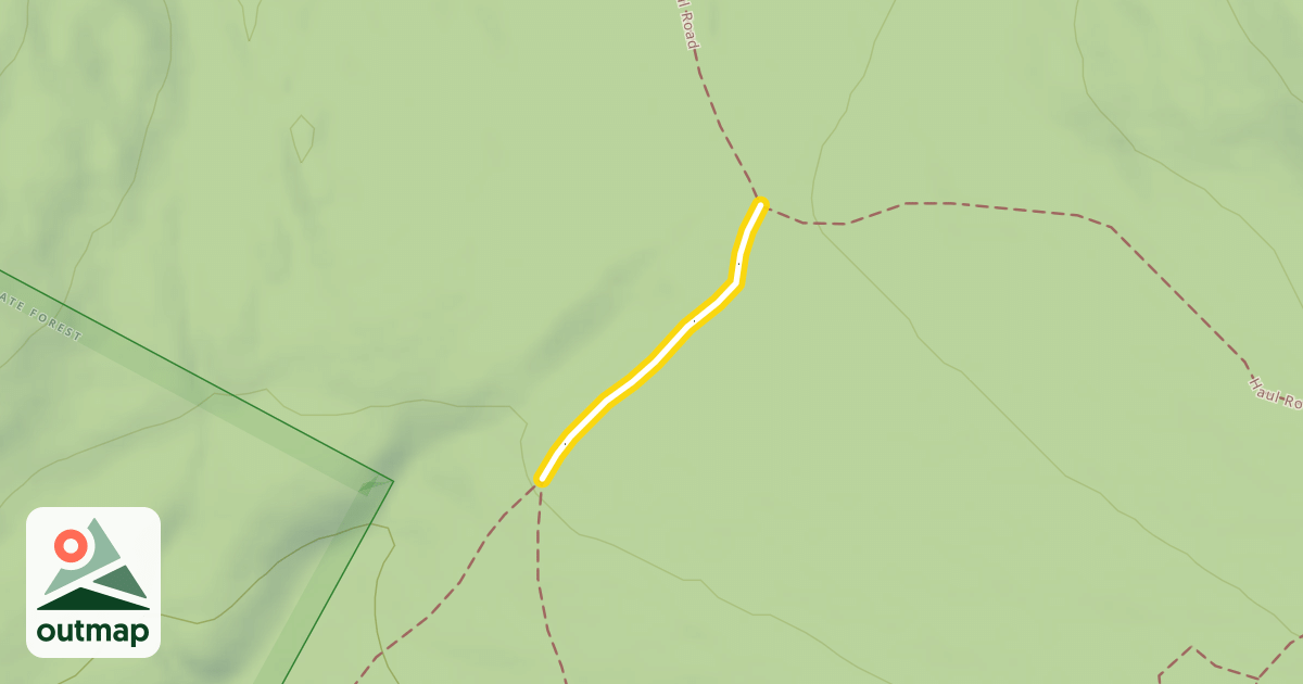 Map of Chris's Run