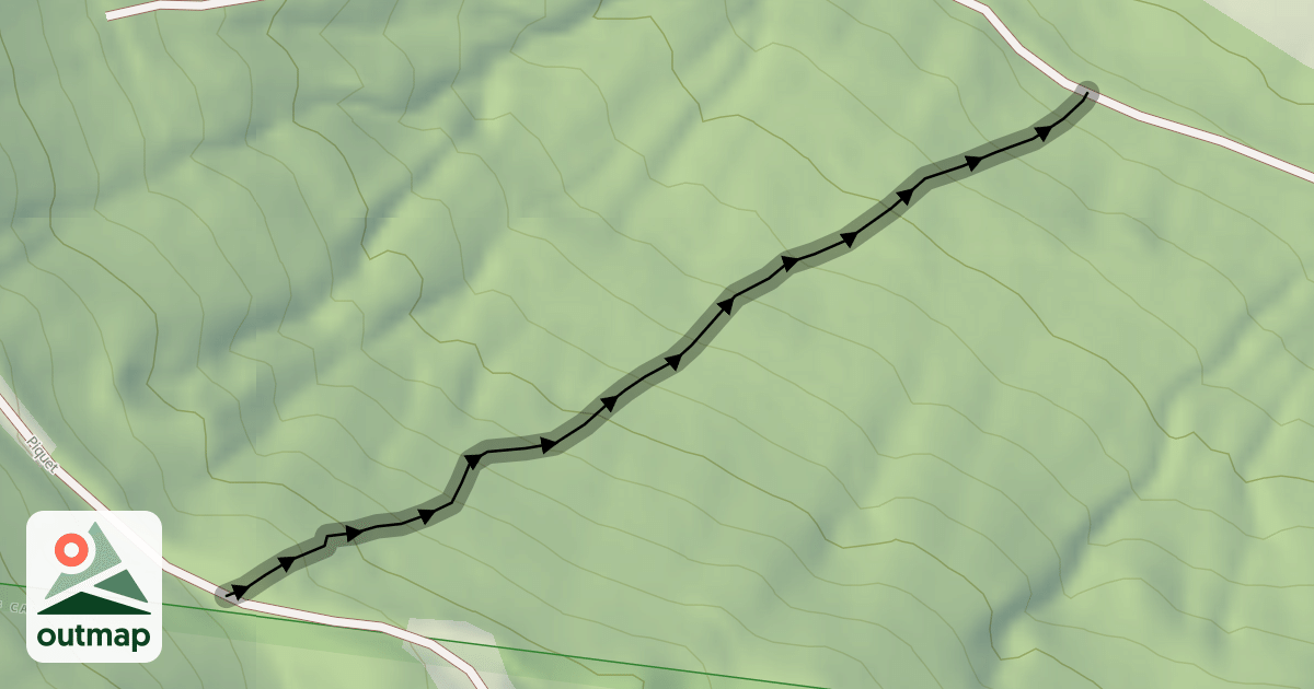 Map of NoFlow