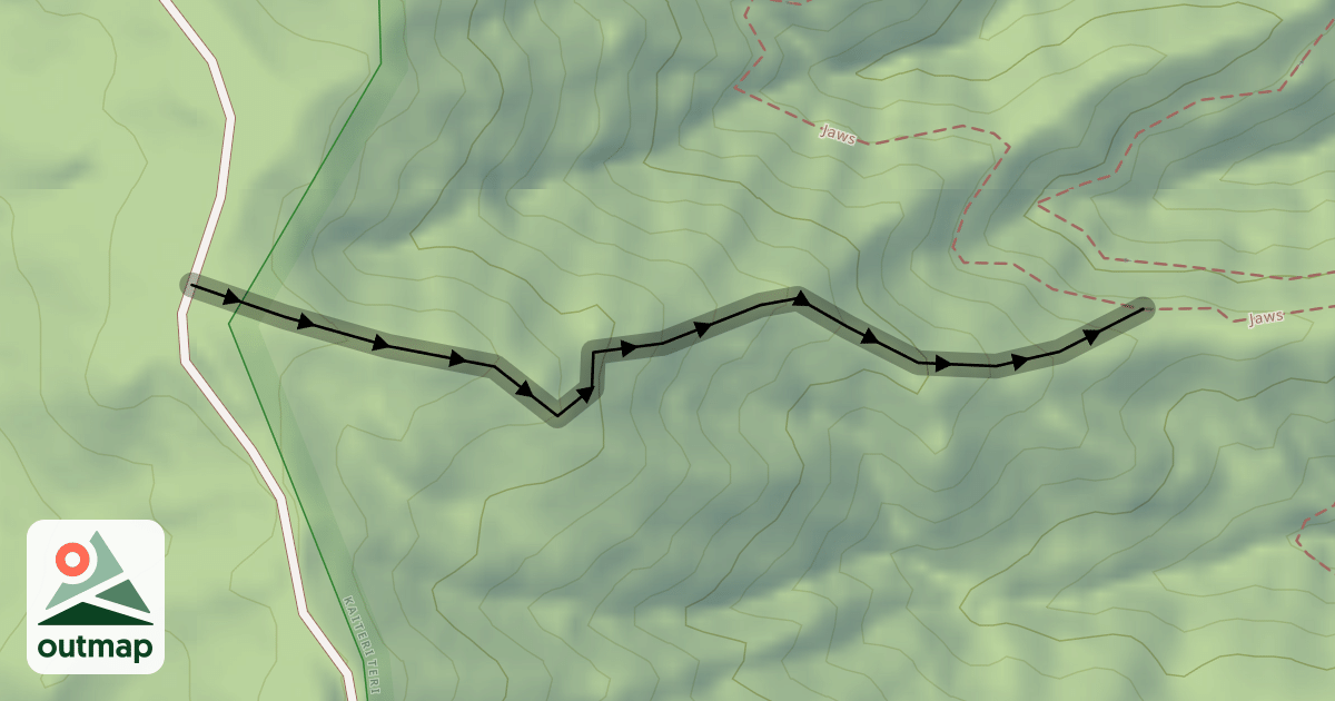 Map of Velocity