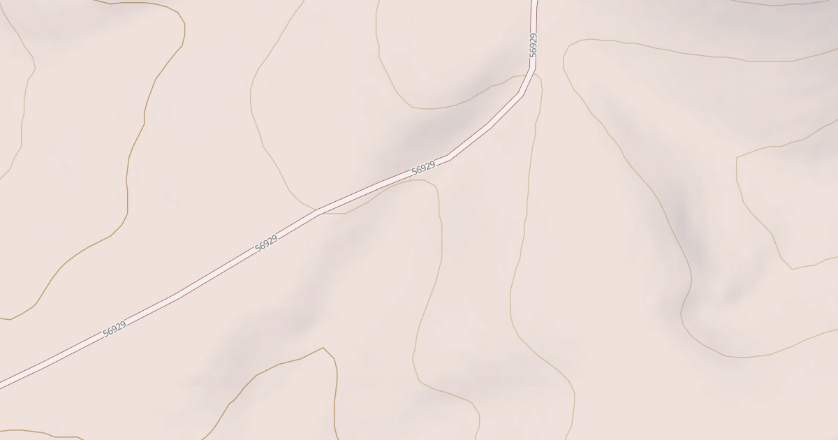 Map preview of COLEMAN