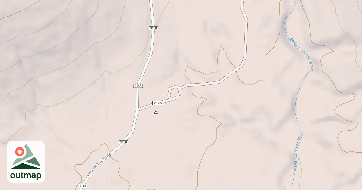 Map of BLM National GTLF Public Motorized Roads 055b8716-163f-4b1f-841d-6dfbd82b26e8