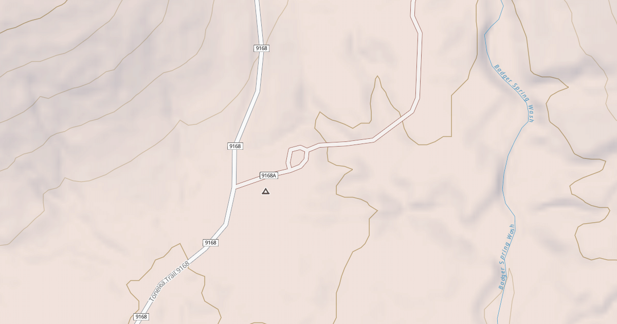 Map preview of BLM National GTLF Public Motorized Roads 055b8716-163f-4b1f-841d-6dfbd82b26e8