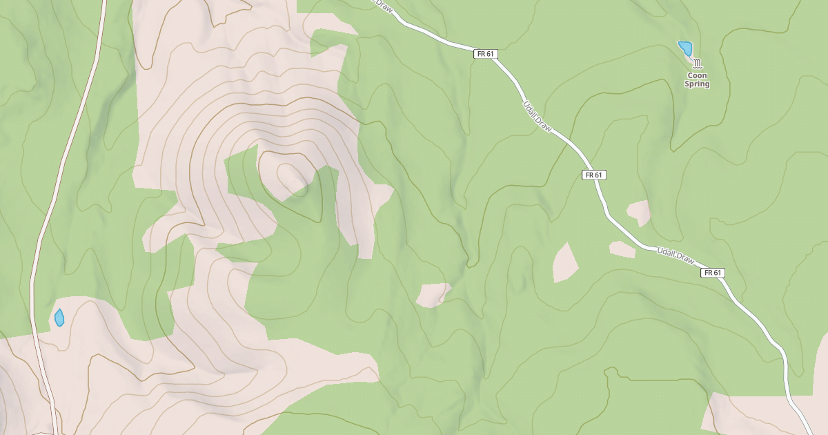 Map preview of USFS National Forest System Roads {08B20156-303D-475E-8316-891685D35A55}