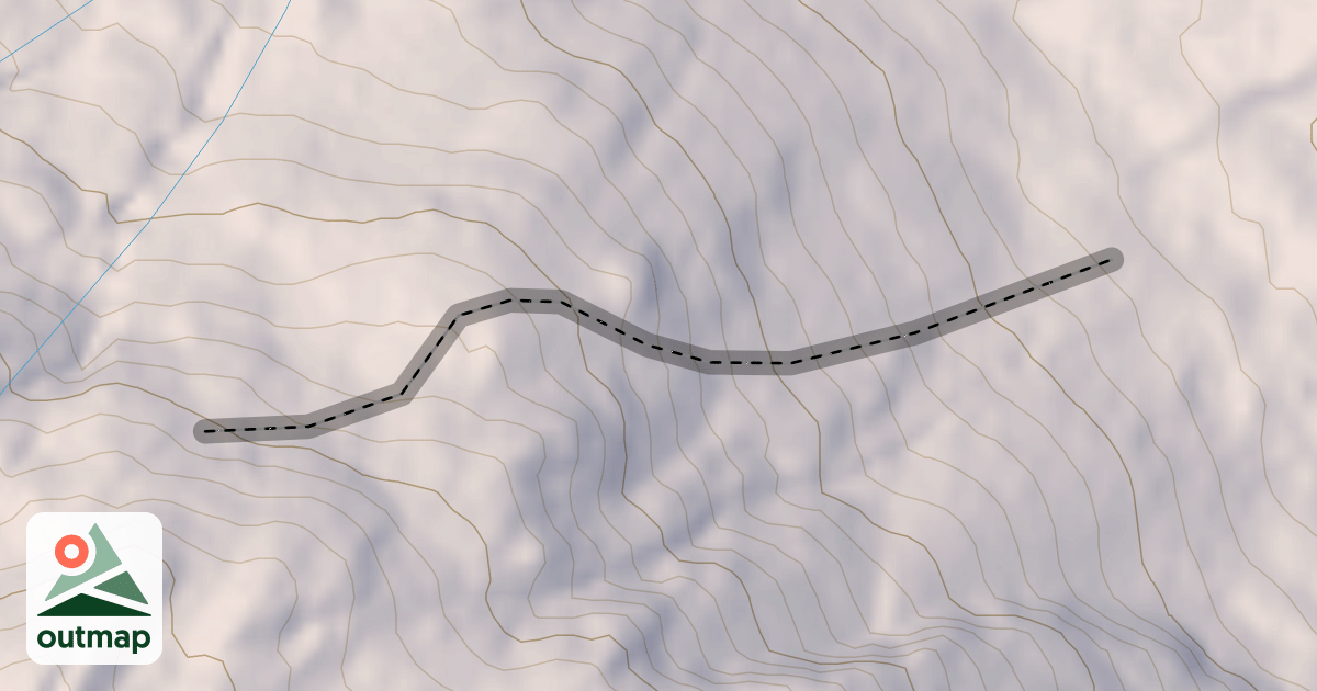Map of Gun Barrel Trees