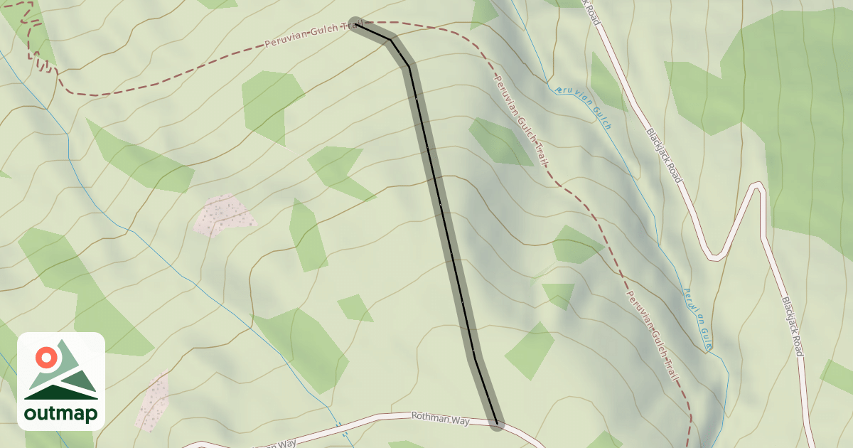 Map of Chip's Face