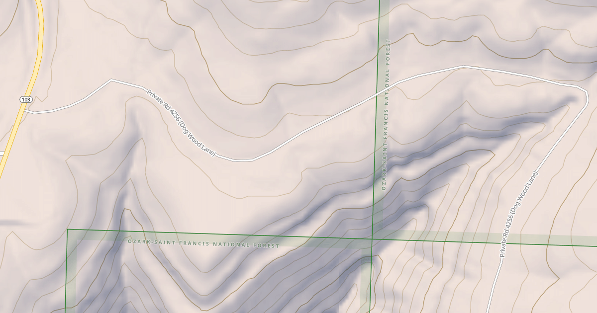 Map preview of USFS National Forest System Roads {516BEC37-2534-466F-8E5F-99485F8E3824}