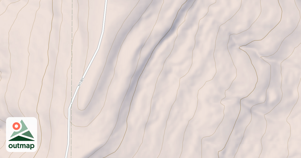 Map of USFS National Forest System Roads {FC032657-D5E6-4ABF-8DBF-E2C157E47609}